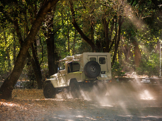 The FJ Company 1980 G43-S Heritage Beige - By Larry Chen