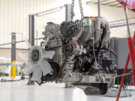 The FJ Company Toyota Land Cruiser 1981 FJ43-104933 Beige