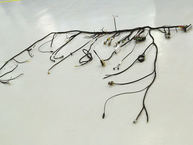 The FJ Company 1981 FJ43-102908 Land Cruiser Sky Blue 