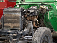 1982 Toyota Land Cruiser John Deere Green FJ40 355958