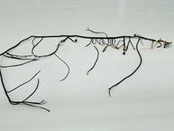 1982 Toyota Land Cruiser FJ40 Yellow  FJ40 356501