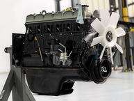 The FJ Company Toyota Land Cruiser 1982 FJ43-109152 Medium Blue