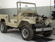 FJ43-113296 pollux orange