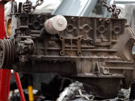 1984 Toyota Land Cruiser FJ43 Freeborn Red FJ43 113295